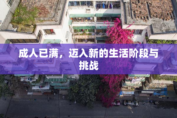 成人已满，迈入新的生活阶段与挑战