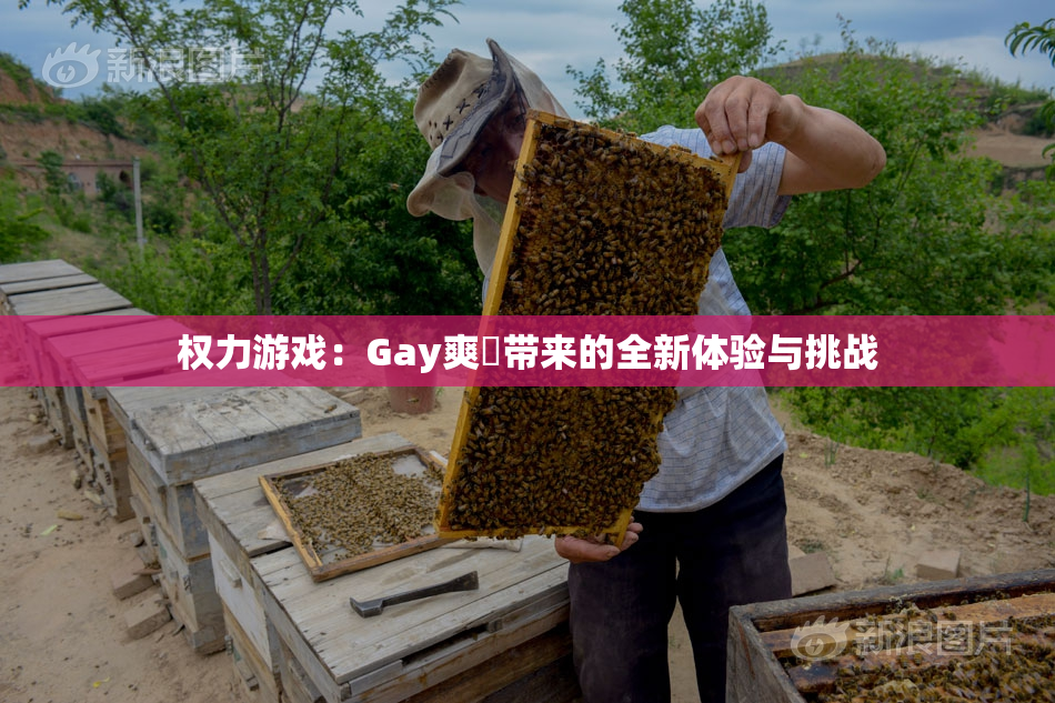 权力游戏：Gay爽擼带来的全新体验与挑战