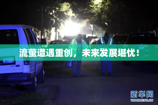 流萤遭遇重创，未来发展堪忧！