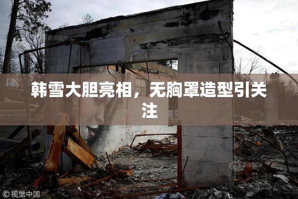 韩雪大胆亮相，无胸罩造型引关注
