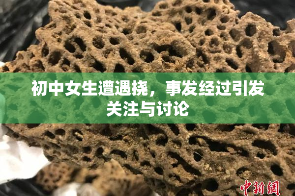 初中女生遭遇挠，事发经过引发关注与讨论