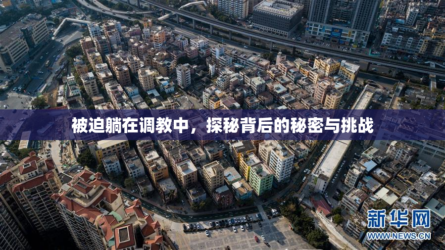 被迫躺在调教中，探秘背后的秘密与挑战