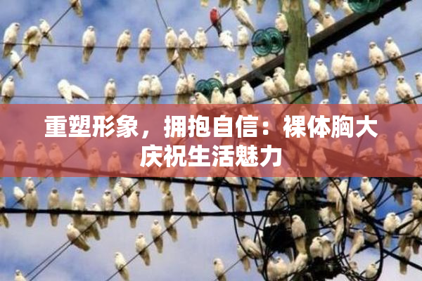 重塑形象，拥抱自信：裸体胸大庆祝生活魅力