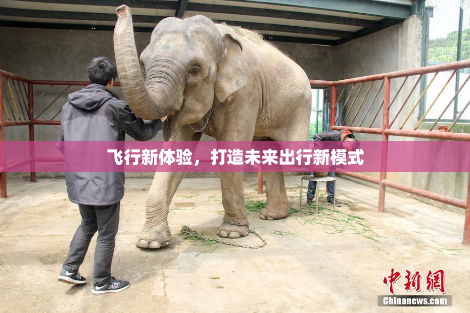 飞行新体验，打造未来出行新模式