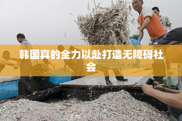 韩国真的全力以赴打造无障碍社会