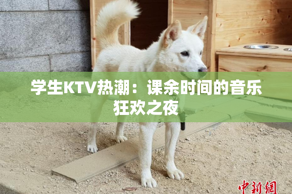 学生KTV热潮：课余时间的音乐狂欢之夜