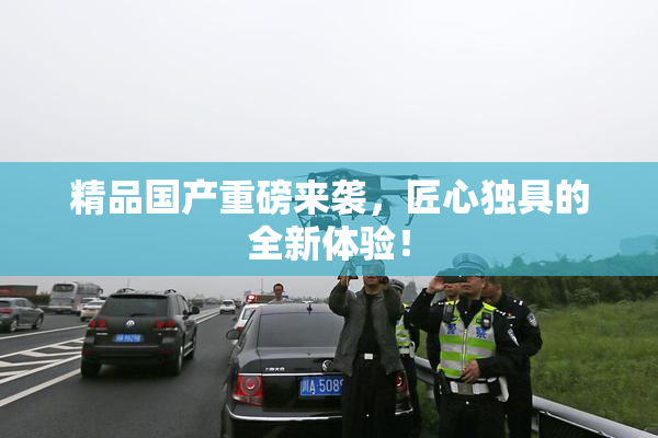 精品国产重磅来袭，匠心独具的全新体验！