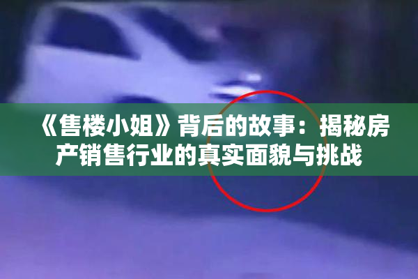 《售楼小姐》背后的故事：揭秘房产销售行业的真实面貌与挑战