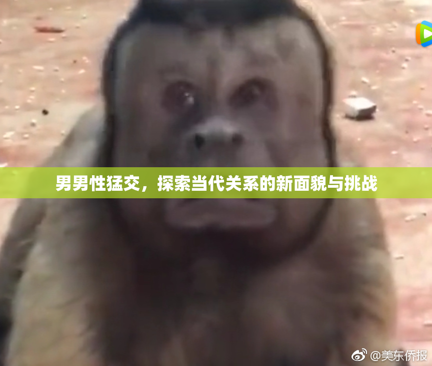 男男性猛交，探索当代关系的新面貌与挑战
