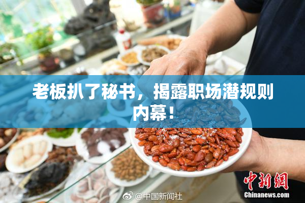 老板扒了秘书，揭露职场潜规则内幕！