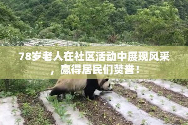78岁老人在社区活动中展现风采，赢得居民们赞誉！