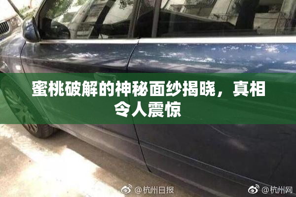 蜜桃破解的神秘面纱揭晓，真相令人震惊