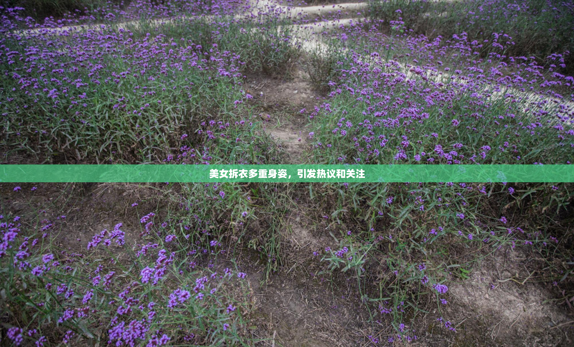 美女拆衣多重身姿，引发热议和关注