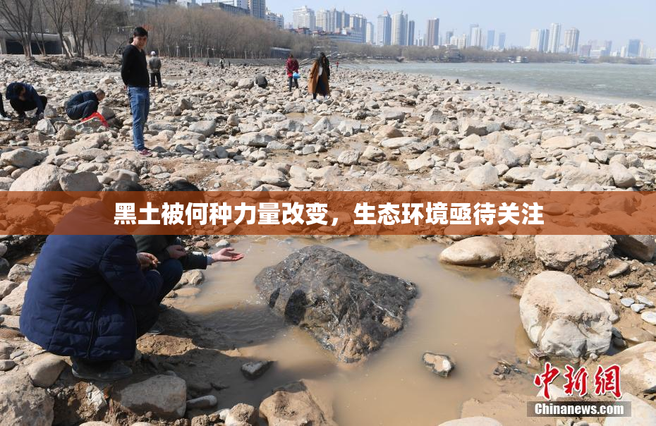 黑土被何种力量改变，生态环境亟待关注