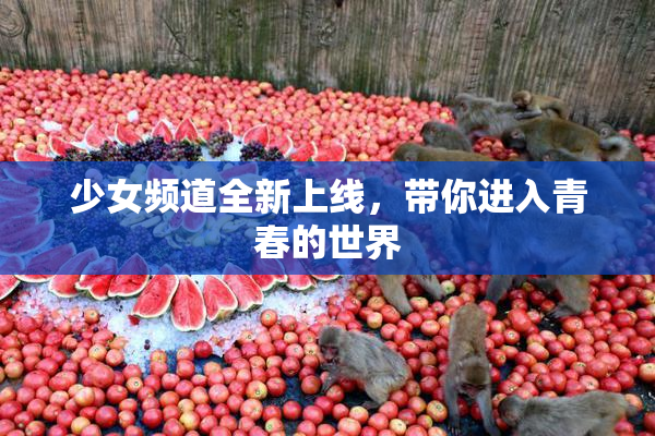 少女频道全新上线，带你进入青春的世界