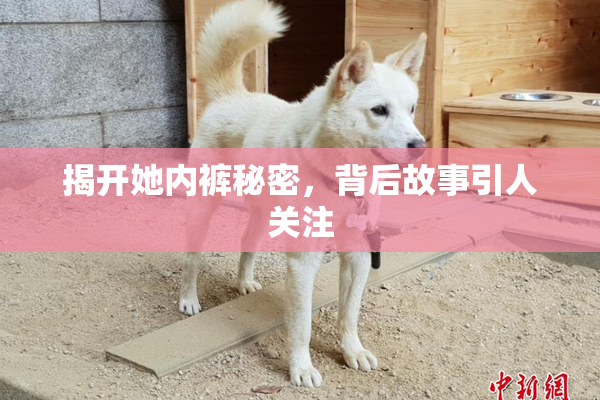 揭开她内裤秘密，背后故事引人关注