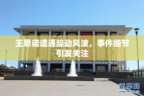 王思诺遭遇躁动风波，事件细节引发关注
