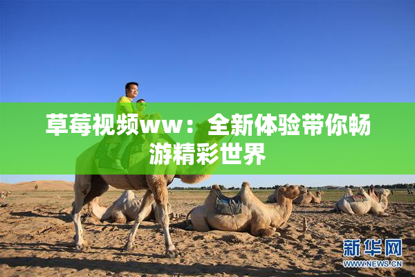 草莓视频ww：全新体验带你畅游精彩世界