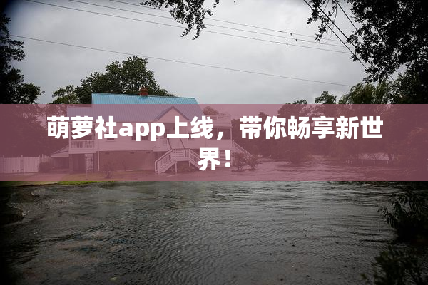 萌萝社app上线，带你畅享新世界！