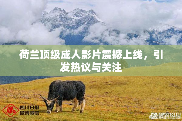 荷兰顶级成人影片震撼上线，引发热议与关注