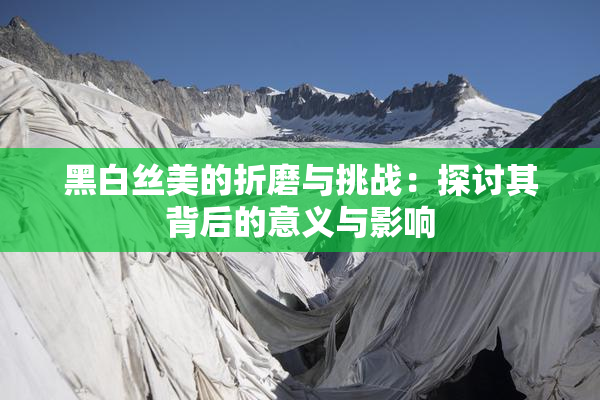 黑白丝美的折磨与挑战：探讨其背后的意义与影响