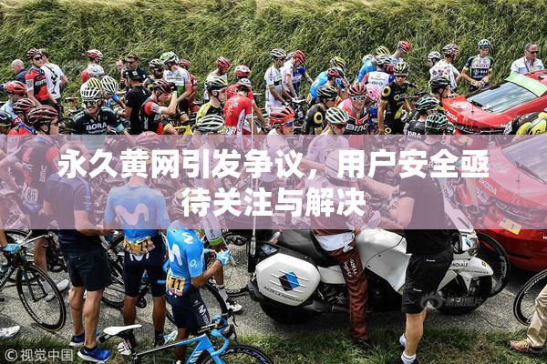 永久黄网引发争议，用户安全亟待关注与解决