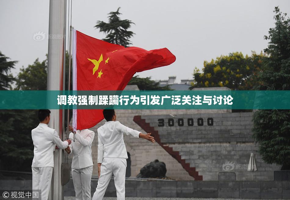 调教强制蹂躏行为引发广泛关注与讨论