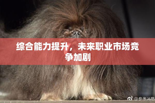 综合能力提升，未来职业市场竞争加剧