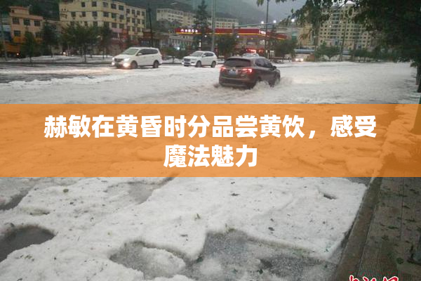 赫敏在黄昏时分品尝黄饮，感受魔法魅力