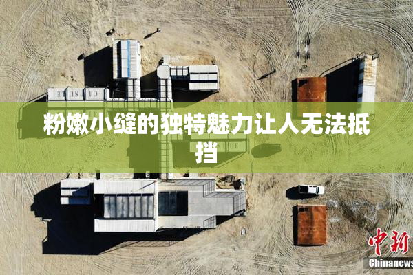 粉嫩小缝的独特魅力让人无法抵挡