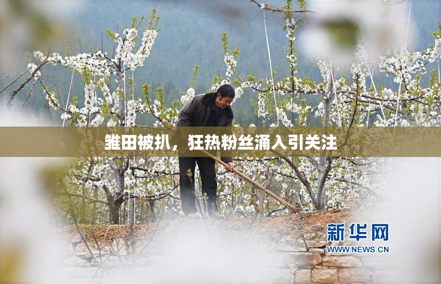 雏田被扒，狂热粉丝涌入引关注