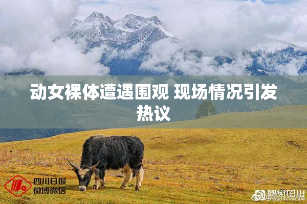 动女裸体遭遇围观 现场情况引发热议