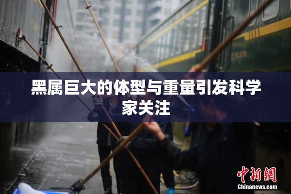 黑属巨大的体型与重量引发科学家关注