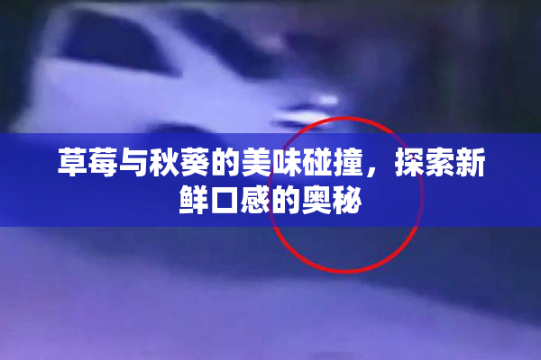 草莓与秋葵的美味碰撞，探索新鲜口感的奥秘