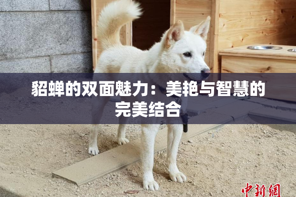 貂蝉的双面魅力：美艳与智慧的完美结合