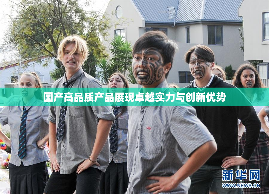 国产高品质产品展现卓越实力与创新优势