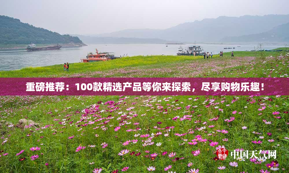 重磅推荐：100款精选产品等你来探索，尽享购物乐趣！