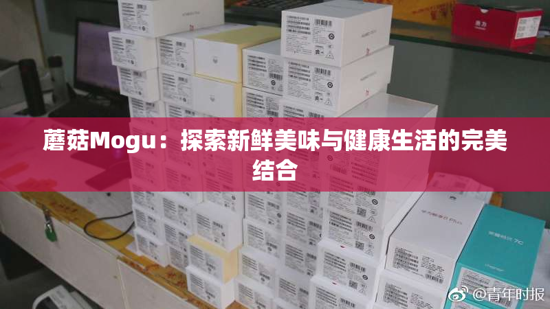 蘑菇Mogu：探索新鲜美味与健康生活的完美结合
