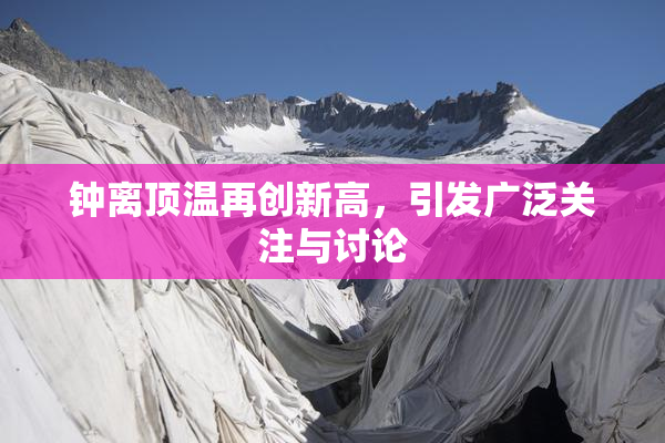 钟离顶温再创新高，引发广泛关注与讨论