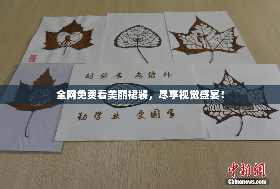 全网免费看美丽裙装，尽享视觉盛宴！