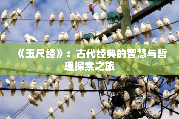 《玉尺经》：古代经典的智慧与哲理探索之旅