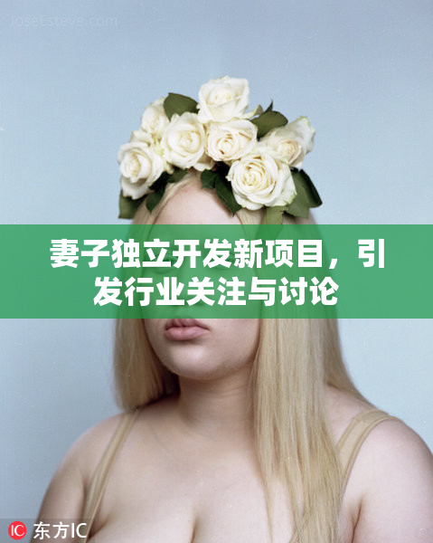 妻子独立开发新项目，引发行业关注与讨论