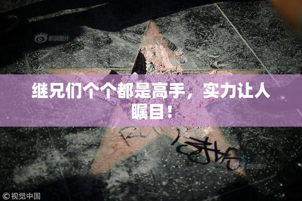 继兄们个个都是高手，实力让人瞩目！