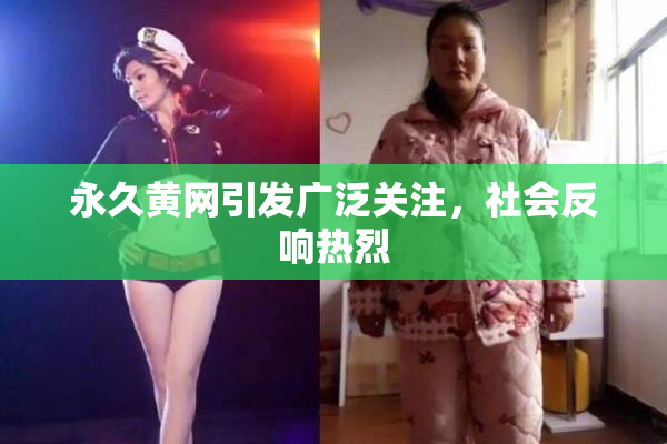 永久黄网引发广泛关注，社会反响热烈