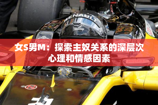 女S男M：探索主奴关系的深层次心理和情感因素