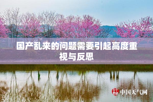 国产乱来的问题需要引起高度重视与反思
