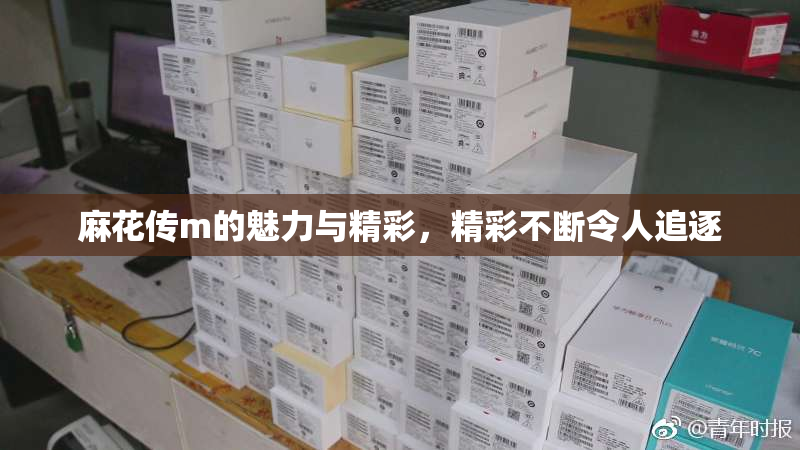 麻花传m的魅力与精彩，精彩不断令人追逐
