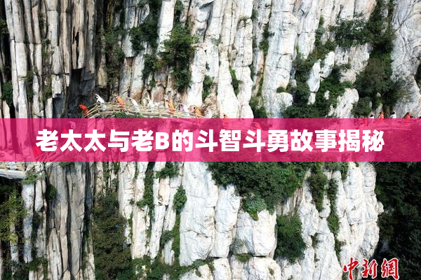 老太太与老B的斗智斗勇故事揭秘