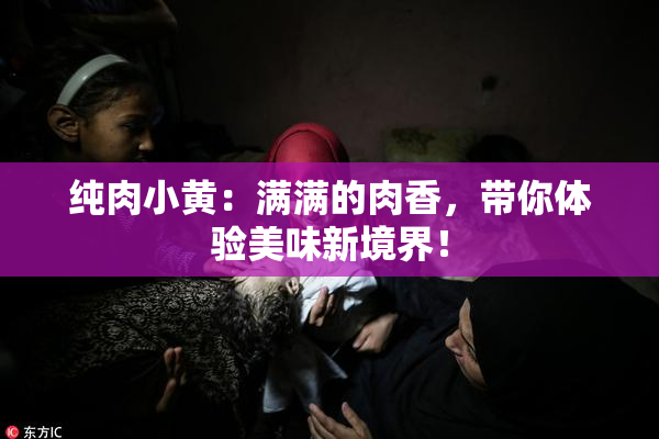 纯肉小黄：满满的肉香，带你体验美味新境界！