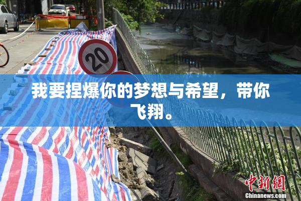 我要捏爆你的梦想与希望，带你飞翔。